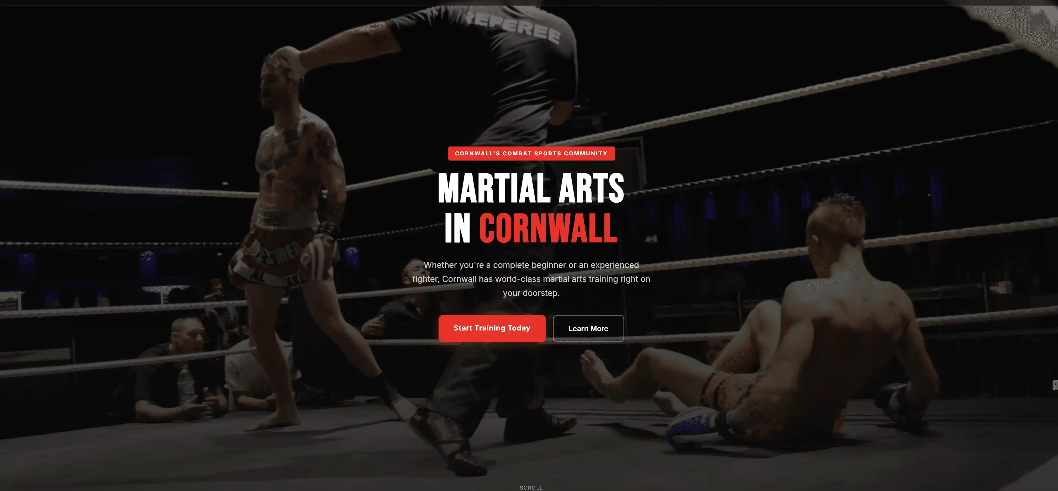 Martial Arts Cornwall website